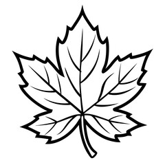 black and white flower