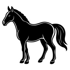 horse vector illustration