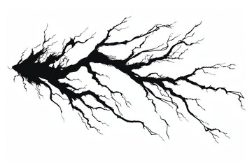 Fototapeta premium Abstract tree-like black branches