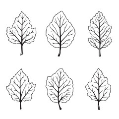Unique Fig Vector Line Art for Digital Artwork