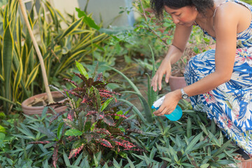 Fototapeta premium Woman gardening and watering plants in home garden