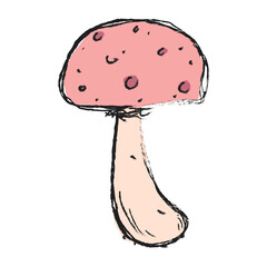 Mushroom hand drawn illustration. Floral element design. Hand drawn botanical illustration