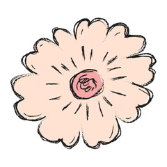 Flower hand drawn illustration. Floral element design. Hand drawn botanical illustration