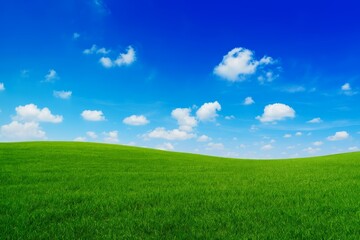 Fototapeta premium Lush Green Field Under a Bright Blue Sky with Fluffy Clouds, Ideal for Nature and Outdoor Themes in Stock Photography