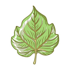 Green leaf icon with intricate veins, nature symbolism concept