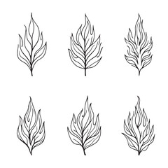 Fototapeta premium Flame Leaf Vector Line Art for Creative Designs