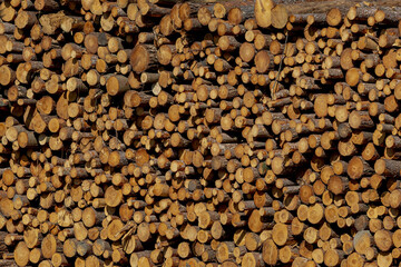 Stacked of pine tree logs collected in a huge and high pile in the wood, Cutted trees and lied in the forest, Ready for transportation, Timber trade industry, Abstract nature pattern background.
