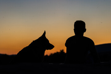 Boy and dog enjoying a golden sunset: a silhouette of friendship
