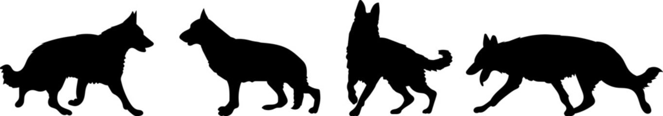 set silhouette dog german shepherd vector