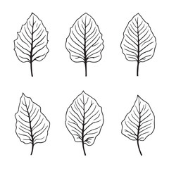 Elegant Dieffenbachia Leaf Vector Line Art Design