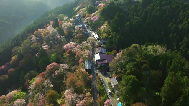 Scenic Aerial view of Japanese small village in Mount Yoshino at spring with cherry blossom flowers