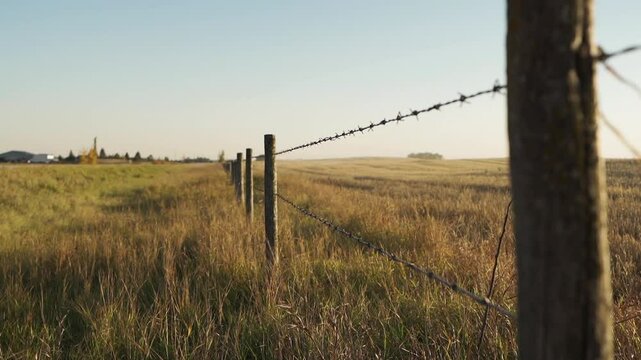 Barbed Wire Fence In The Farm. - wide shot