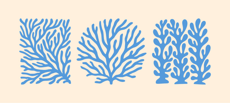 Vector Sea Coral Icon Set. Boho Seaweed, Reef Silhouettes. Matisse Style Ocean Simple Plant. Coastal Summer Beach Illustration for Print, Poster, Logo. Naive Art Coral Set. Reef, Algae Organic Shape
