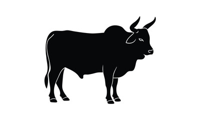 Strong brahman bull standing silhouette, Brahman Bull silhouette vector art white background 