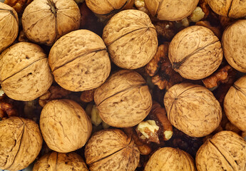 Whole Walnut Shell Close Up Background