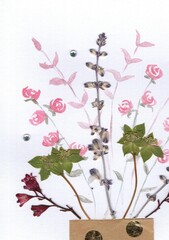 Close up detail of pressed and dried summer flowers.