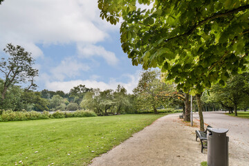 A serene park pathway lined with lush greenery offers a peaceful retreat. Tall trees and clouds create a picturesque landscape ideal for strolls and relaxation.