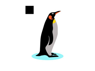 penguin vector icon isolated on white.penguin icon design template vector illustration. penguin vector, icon vector illustration, penguin silhouette of a penguin isolated on a white background, eps, p