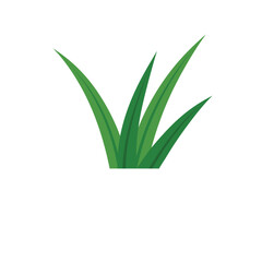 Pandan Leaves Illustration