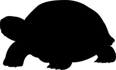 tortoise silhouette beautiful vector file svg beautiful design