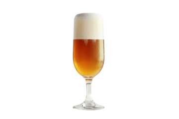 Frothy amber beer in a stemmed glass refreshing beverage light background condensation details isolated on transparent background