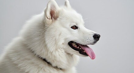 Arctic Majesty A Gentle Gaze Whispers Of The North Wind Snowy Serenity Silent Strength A Breath Of Winter Air Pure White Winter Spirit AI Generated
