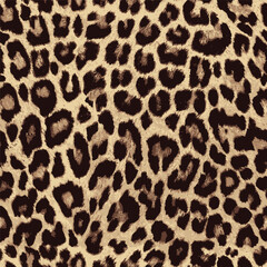 leopard fur texture © Ferhat