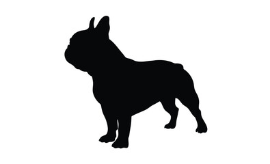 French bulldog pet dog pose silhouette, French bulldog vector silhouette 