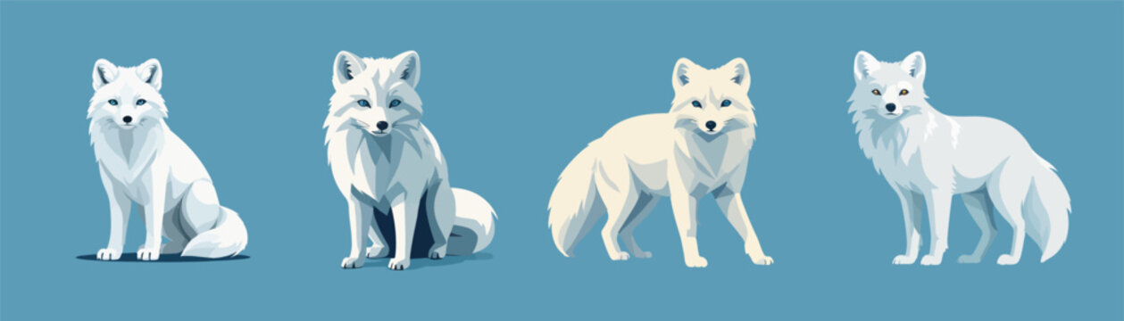 minimalist vector of polar fox animal