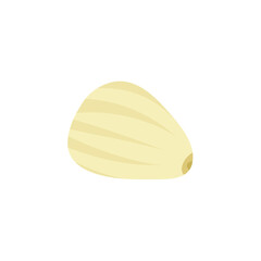 Peeled garlic illustration. Spice ingredient for culinary design.