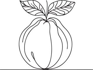Minimalist Guava Line Art Illustration 
