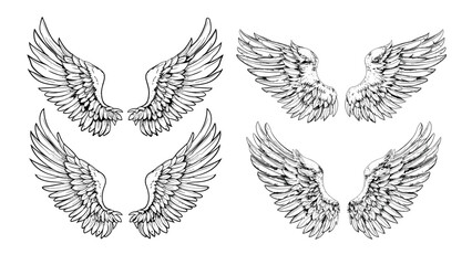 Engraved angel wings. Feathers seraphim celestial soar plumage cherubim quilled plume divine flying religious sacred holy heavenly mystical fantasy symbols isolated vectors