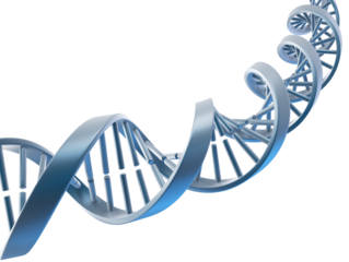 3d render of DNA double helix