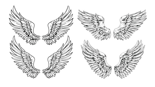 Engraved angel wings. Feathers seraphim celestial soar plumage cherubim quilled plume divine flying religious sacred holy heavenly mystical fantasy symbols isolated vectors