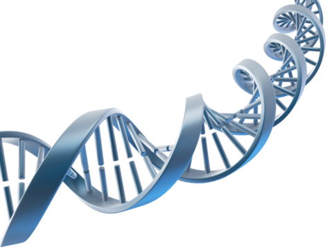 3d render of DNA double helix