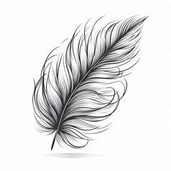Obraz premium Black Feather Outline with Soft Texture