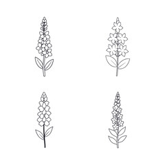 A Set Of Delphinium Silhouette Vector Illustration © hafsa01