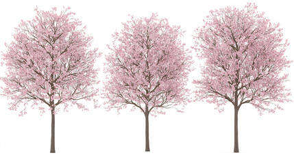 Naklejka premium Pink cherry blossom tree blooming in a snowy winter landscape