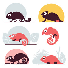 Colorful Chameleon Vector Set | Stylized Reptile Clipart Collection | Jungle Lizards on Branches and Isolated Silhouettes for Wildlife & Nature Design.