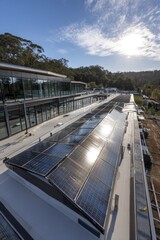 Fototapeta premium Lush green rooftop garden, sustainable urban landscaping Ideal for eco-friendly architecture and design projects - succulents environmental abundant