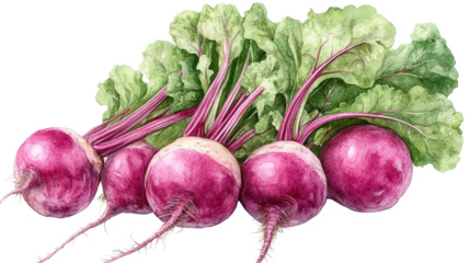 You've reached our limit of messages per hour Please try again later