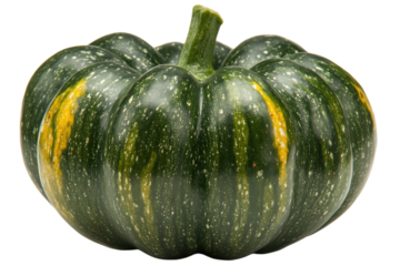 Green pumpkin with yellow stripes vibrant fall harvest vegetable close up studio shot against white isolated on transparent background