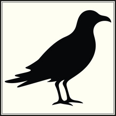 Fototapeta premium Seagull Silhouette, Shoreline Creature