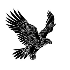 Eagle vulture animal flying.