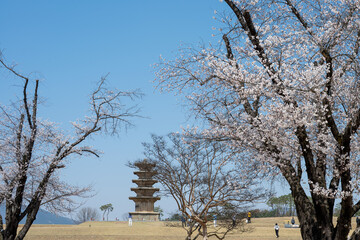 익산 왕궁리유적