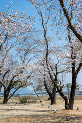 익산 왕궁리유적