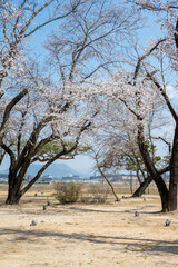 익산 왕궁리유적