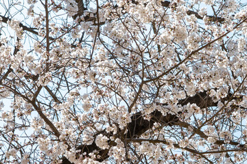 익산 왕궁리유적