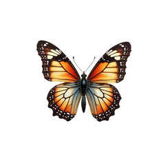 Fototapeta premium A vibrant monarch butterfly, wings outstretched in graceful flight, showcasing its delicate orange and black patterns against a pure white background.