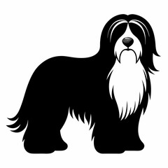 Bearded Collie vector silhouette